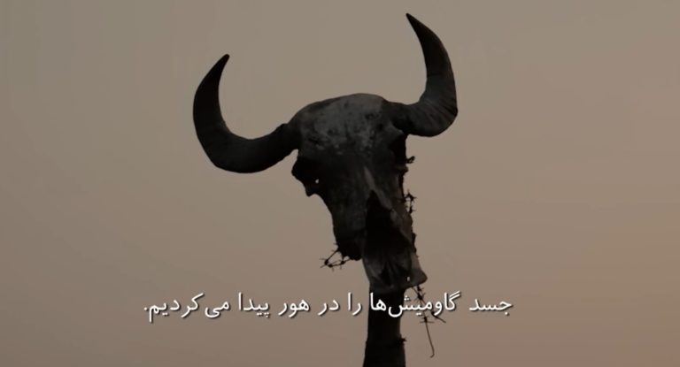 مستند «زمین سوخته»؛ اینجا خوزستان است، تشنه و عصبانی