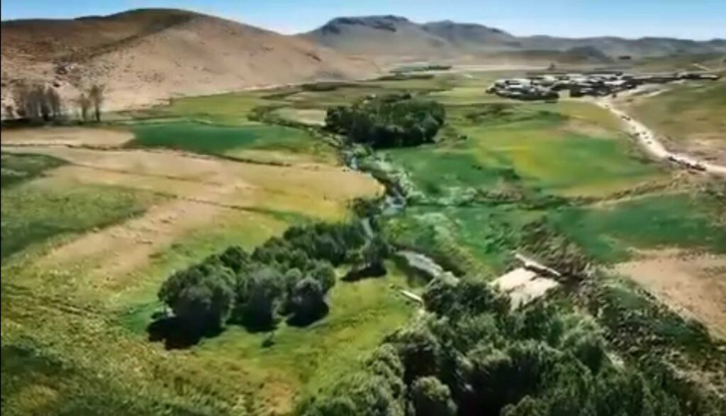 سرزمین پدری